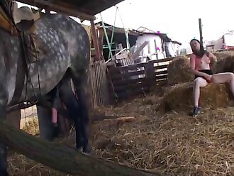 animalsex
