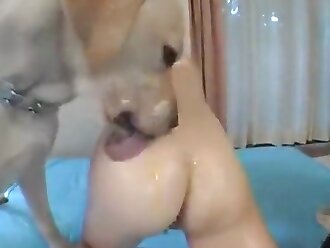 japanese zoophilia