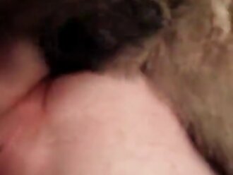 animalsex