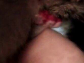 animalsex