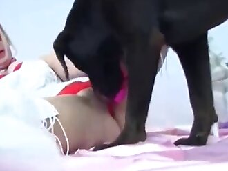 sex animals