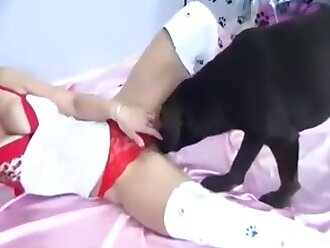 sex animals