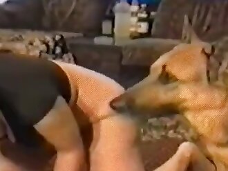 hardcore animal sex