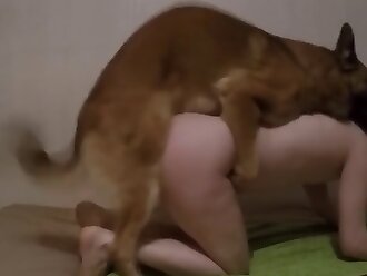 gay beastiality