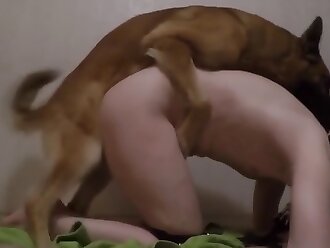 gay beastiality