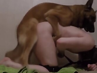 gay beastiality