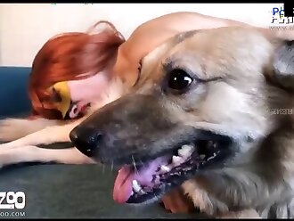 zoo porn