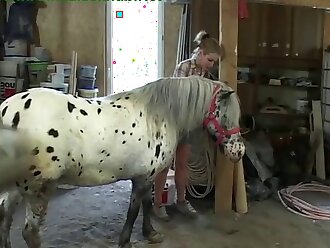 hardcore animal sex