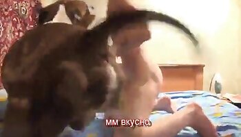 zoofili porr,djurporrfilm