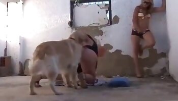animal porn video,intense fucking
