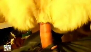 bestialità amatoriale,sesso con animali domestici