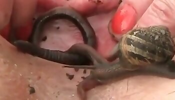 frau sex mit tier,mit dem tier ficken