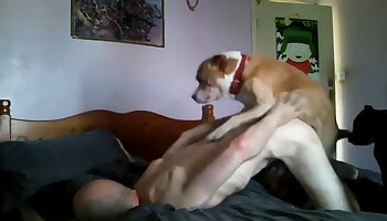 porno canino,porno gratis bestialità