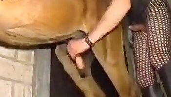 free bestiality porn,bestiality clips