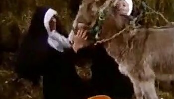 pornografia bestialidade grátis,orgia de bestialidade