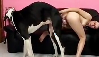 donkerharig,gratis bestialiteit porno