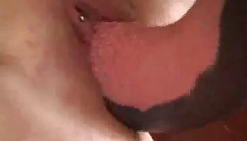 sex s koněm,zoofilní porno