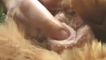 video porno animali,fottere con un animale