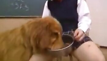 sex with dogs,girl and animal sex