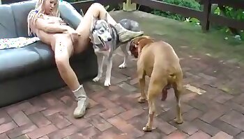 sex with dogs,wild fucking
