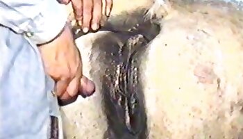 sexo com cavalo,sexo com animais