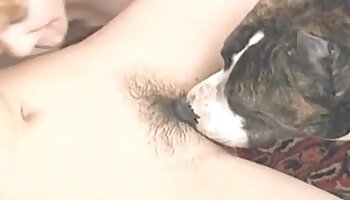 หนังโป๊เกี่ยวกับสัตว์,วิดีโอโป๊สัตว์