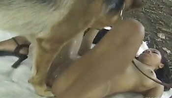 کتوں کے ساتھ جنسی تعلقات,لڑکی اور جانوروں کی جنس