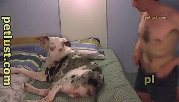 canine porn,sex with animals