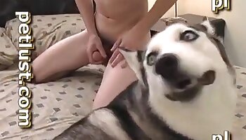 seks met honden,zoöfilie porno
