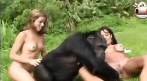 girls-zoophiles,zoo-sex