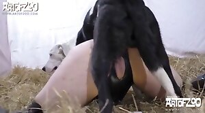 bestiality-orgasms,animal-porn-videos