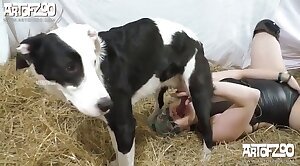bestiality-orgasms,animal-porn-videos