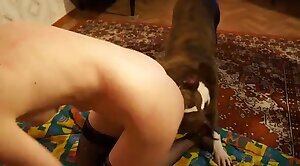 bestiality-videos,animal-porn-videos