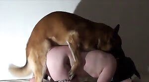 bestiality-videos,gay-animal-sex