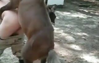farm sex bestiality sex
