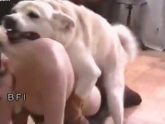 bestiality-porn, sex-with-animals