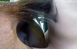 sensual fuck,sex with animals