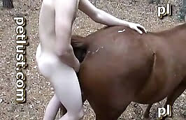 female,horse sex