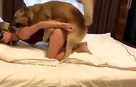 sex with dog fucks animal