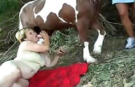 lady,horse sex