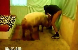 free zoophilia porn zoo porn