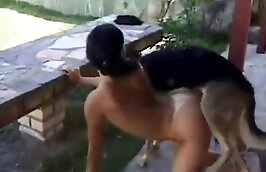 free zoophilia porn zoo porn