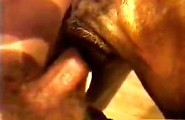 free zoophilia porn zoo porn