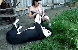 sex with animals open