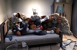 high-definition zoo videos