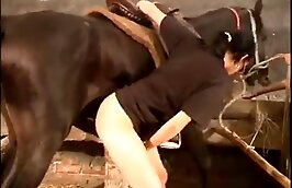 sexy milfs,enjoying bestiality