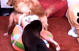 sex with animals girl