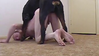 humano transando com animal,pornô de zoológico anal