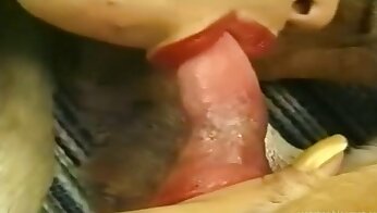 zvířata kurva s lidmi,zdarma zoosex porno videa