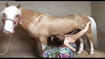 animal cock,zoo sex porn video